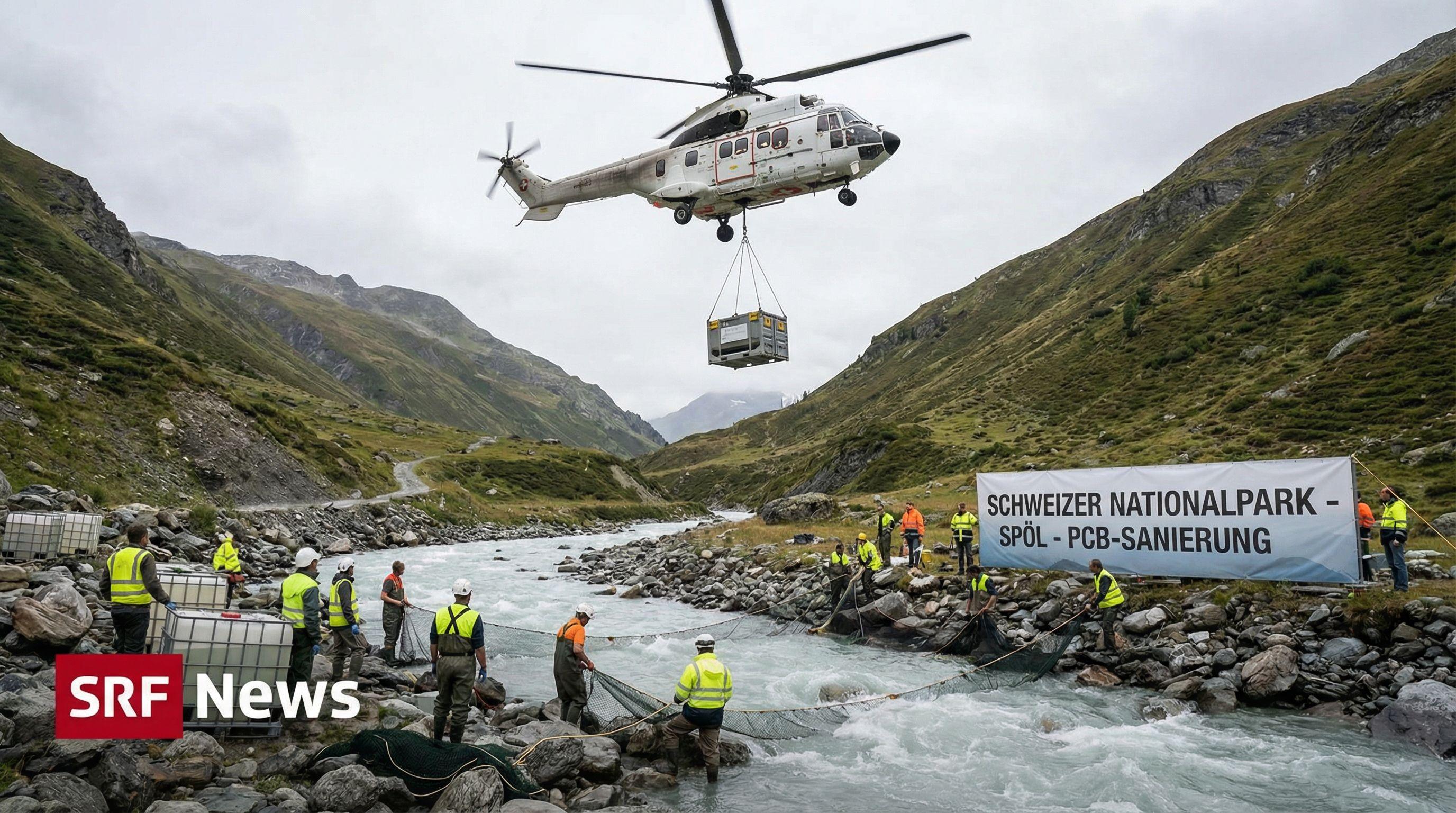 12,000 Fish Airlifted in Major Swiss River Environmental Operation