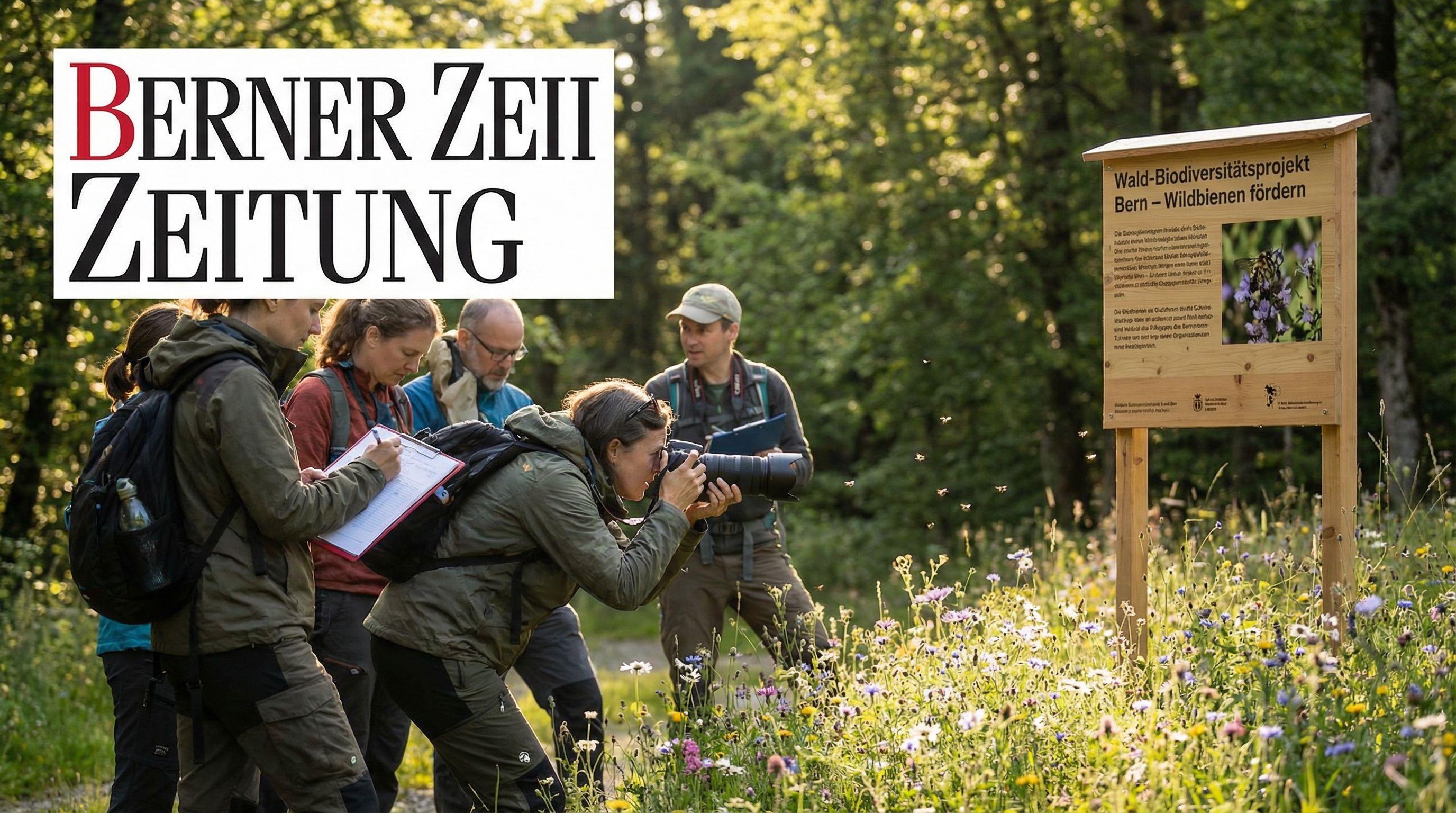 Forest Biodiversity Project Shows Success in Protecting Wild Bees