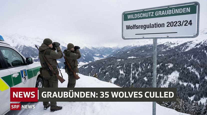 Graubünden Culled 35 Wolves During Winter Regulation Phase
