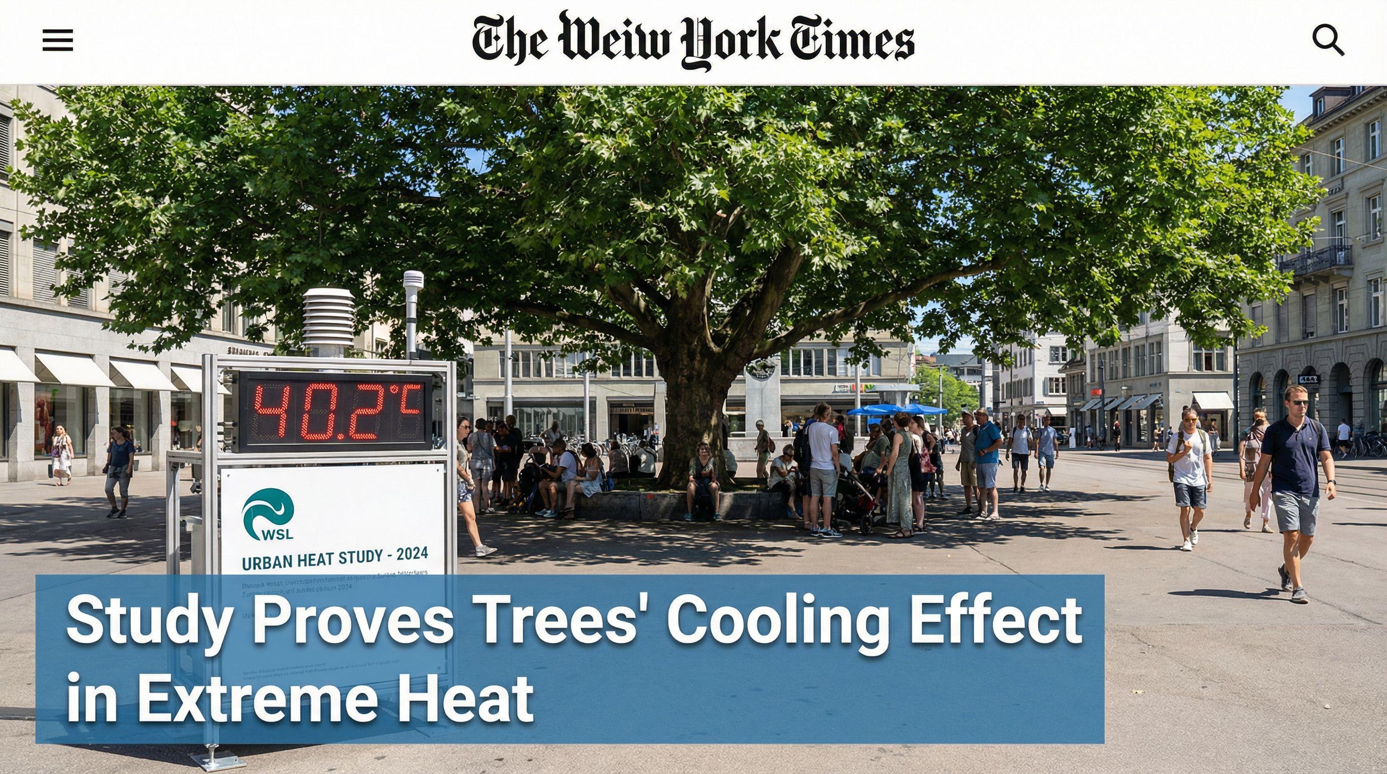 Study Proves Trees' Cooling Effect in Extreme Heat