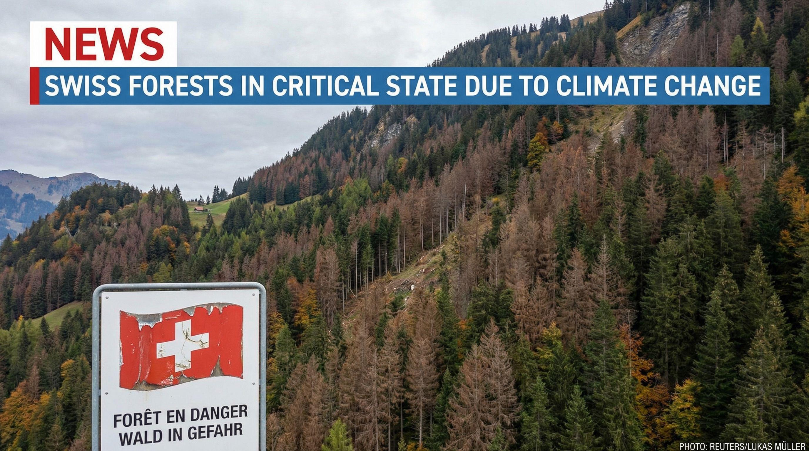 Swiss Forests in Critical State Due to Climate Change