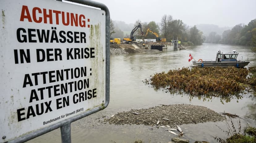 Swiss Waters in Crisis: Fish and Aquatic Life Under 'Severe Pressure'