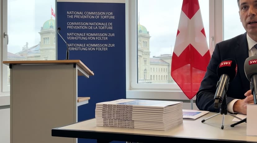 Anti-Torture Watchdog Criticizes Switzerland's Deportation of Mentally Ill Individuals