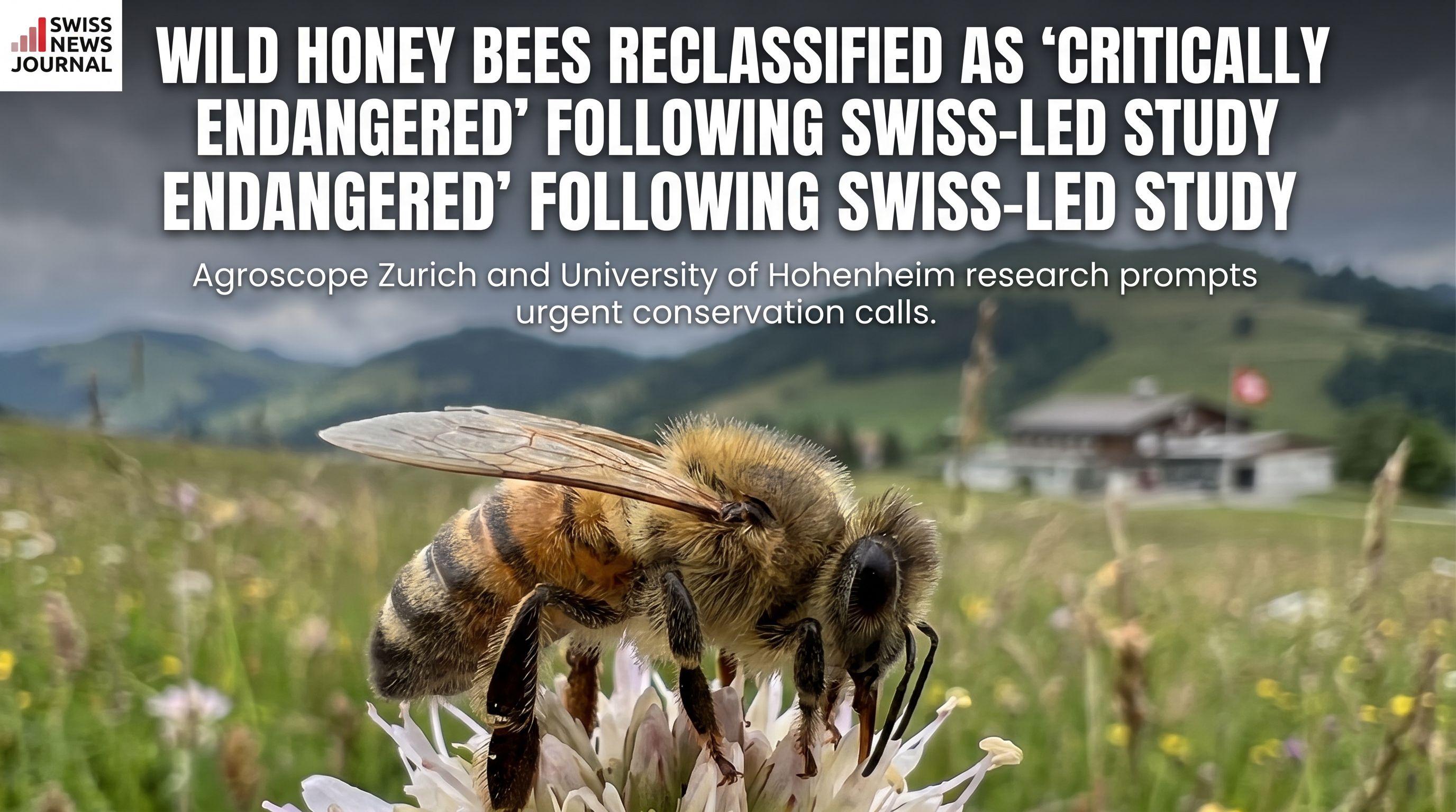 Wild Honey Bees Reclassified as 'Critically Endangered' Following Swiss-Led Study