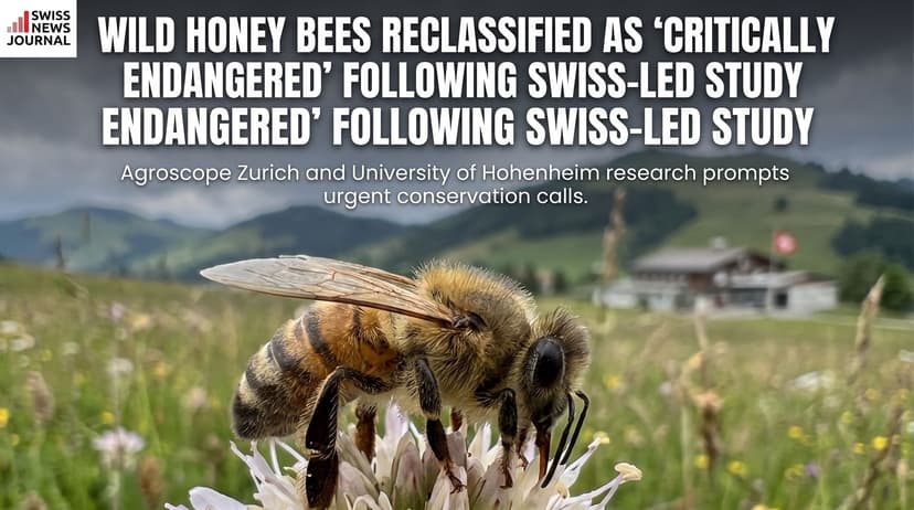 Wild Honey Bees Reclassified as 'Critically Endangered' Following Swiss-Led Study