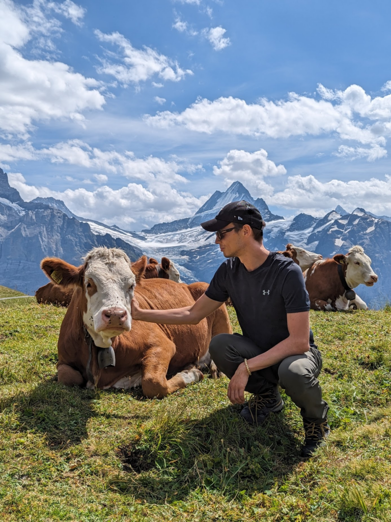 Ilias Ism on a Swiss hike touching a Swiss cow with a bell